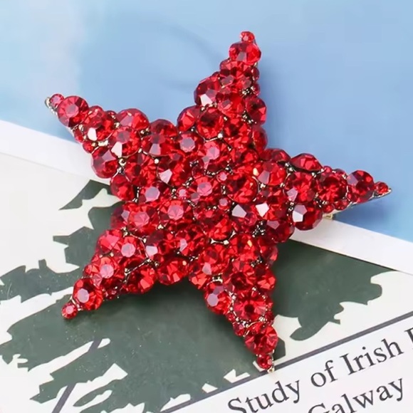 Anthropologie Jewelry - Red Star Wine Crystal Brooch